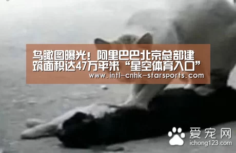 鸟瞰图曝光!阿里巴巴北京总部建筑面积达47万平米“星空体育入口”(图1) 星空体育