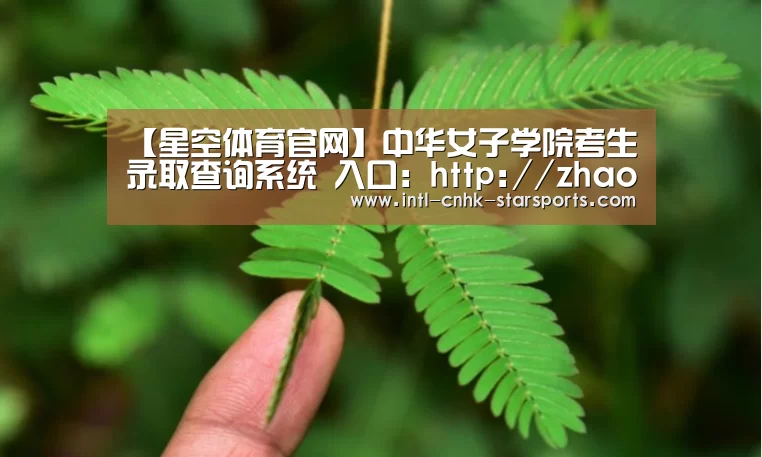 星空体育网址