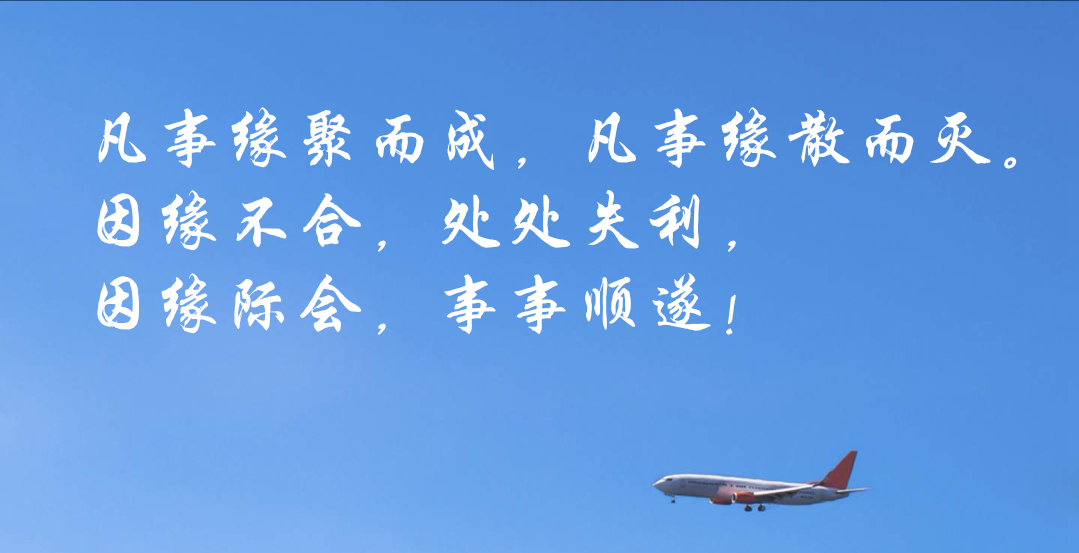 粮食之母-藜麦哪里有宁夏种植基地种植藜麦四种颜色供选择-星空体育(图1) 星空体育入口
